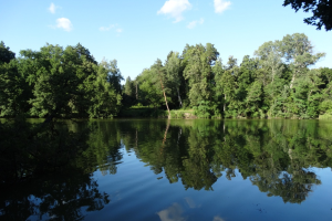 Дендропарк Тростянец